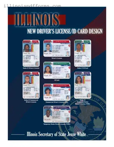 Fill a Valid Illinois Drivers License Form